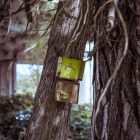 Toter Briefkasten an totem Baum in toter Gegend
